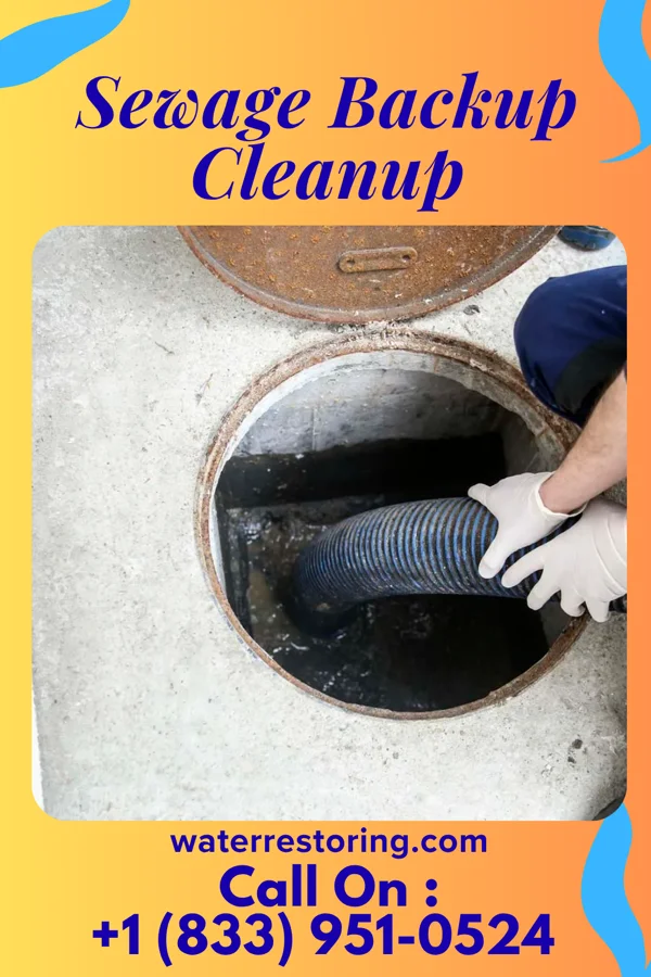 Sewage Backup Cleanup in Markleysburg, PA